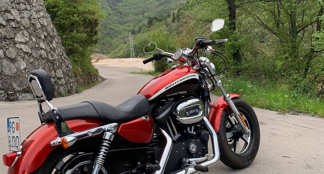 Harley-Davidson-Sportster 1200 Custom Limited
